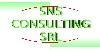 SNS Consulting